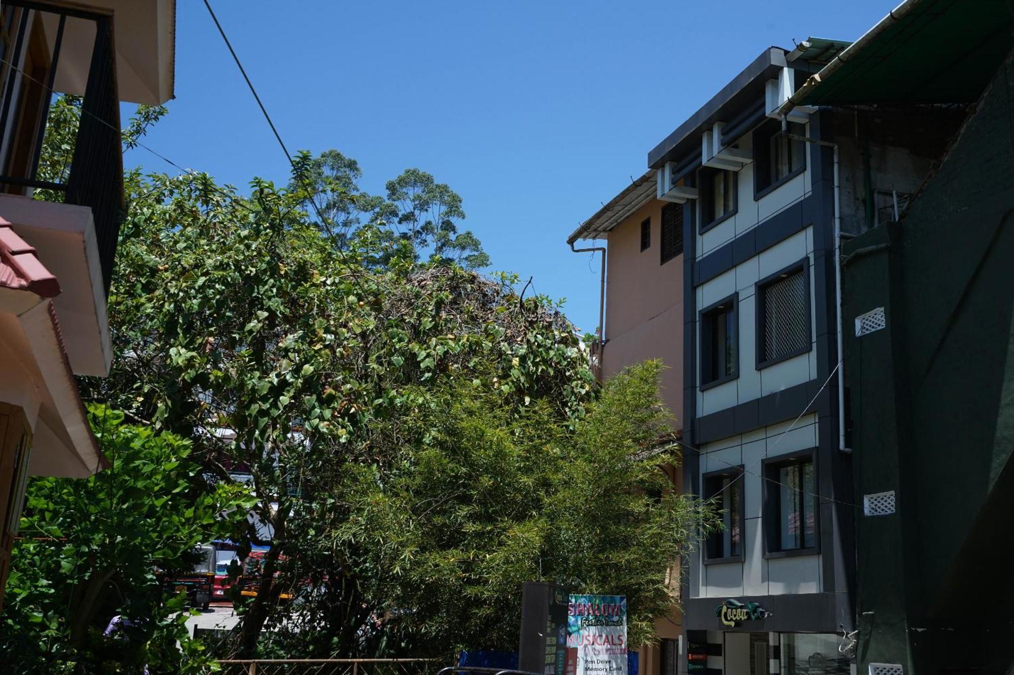 Oyo Hotel Cocoa Tree Munnar Εξωτερικό φωτογραφία